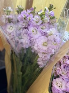 flower image