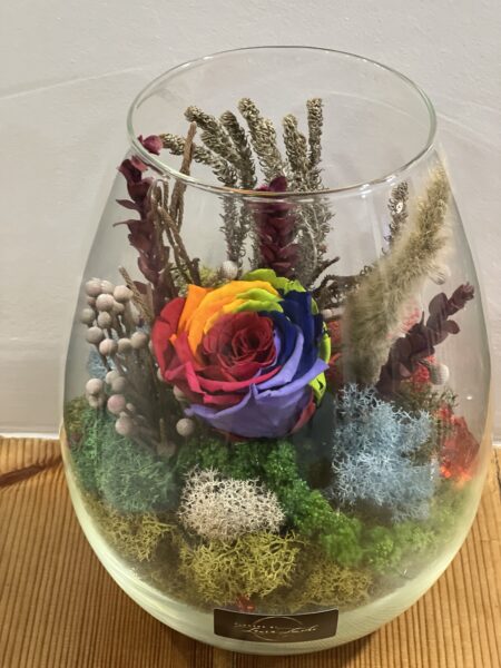 Preserved Rainbow Rose