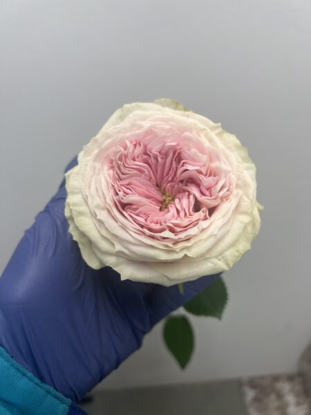 Luxury bouquet - Image 4